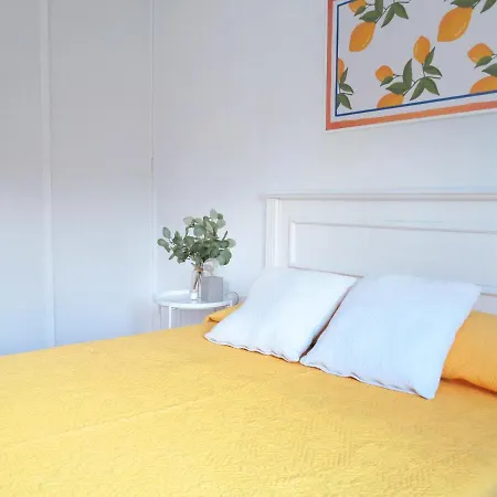 Palmeras פוארטיטו דה גימאר