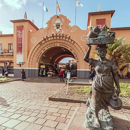 Palmeras פוארטיטו דה גימאר