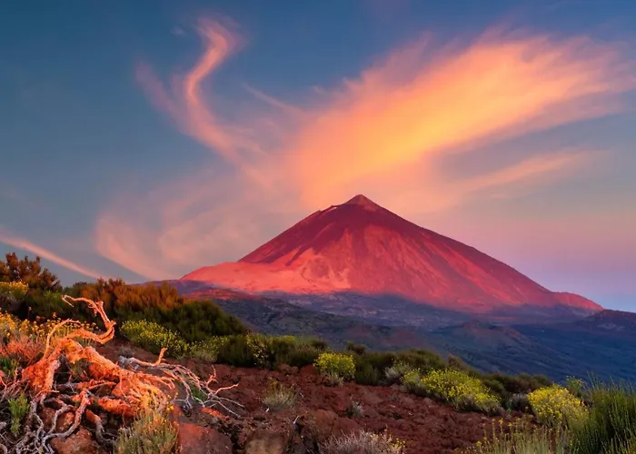 Apartament Palmeras *