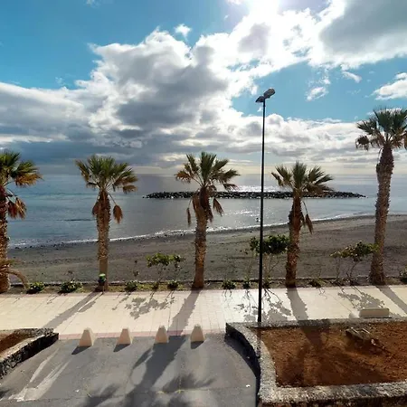 Palmeras Puertito de Guimar