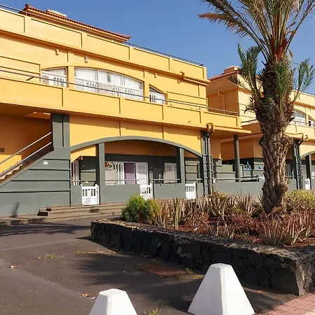 Palmeras * Puertito de Guimar