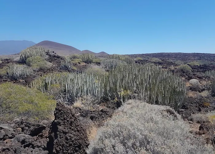 Palmeras Апартаменты *